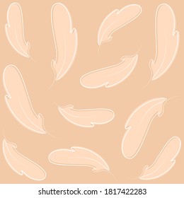 Seamless feather background. Bird feather with diferent shapes.