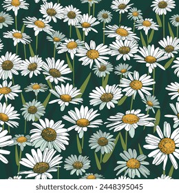 Seamless field border with daisies. Hand drawn botanical design. Floral winder for fabric, paper and other print and web projects.