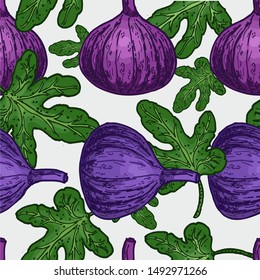 Seamless figs pattern on white background. Summer fruit vector illustration. Design for wallpaper, fabric, decor, textile.