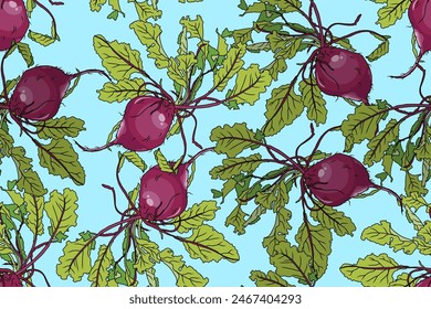 Seamless filled beetroot pattern. Sugar beet. Vegetable illustration. Vegetables and vegetarianism. Beetroot background