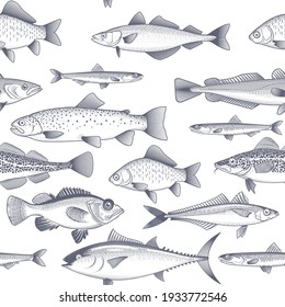 Seamless Fish Background, Patterm Of Tuna, Trout, Mackerel And Other Commercial Fish And Seafood Wallpaper, Vector