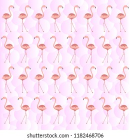 Seamless flamingo pattern (flamingos on the pink bubble background), vector illustration