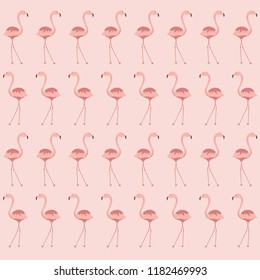 Seamless flamingo pattern (flamingos on the pink background), vector illustration