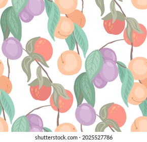 Seamless flat delicate texture with cherries, peaches, plums on branches with foliage on white background. Light cartoon pattern with berries on stems. Vector fabric with natural harvest