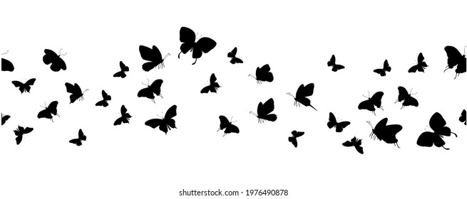 Seamless flock of silhouette black butterflies on white background. Vector