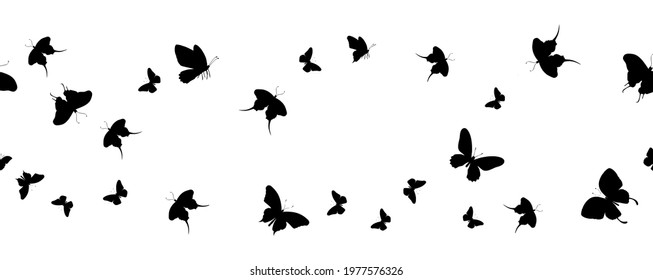 Seamless flock of silhouette black butterflies on white background. Vector