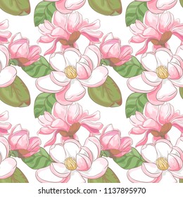 Seamless flora pattern with magnolia flowers and leaves on white background. Vector illustration