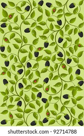 Seamless floral background with a blackberry. Vector illustration.