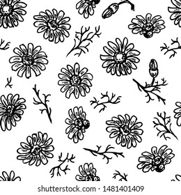 Seamless floral background with camomiles for design. Daisy flower. hand drawn engraved floral seamless pattern. Chamomile black ink sketch. Great for tea packaging, label, icon, greeting cards,