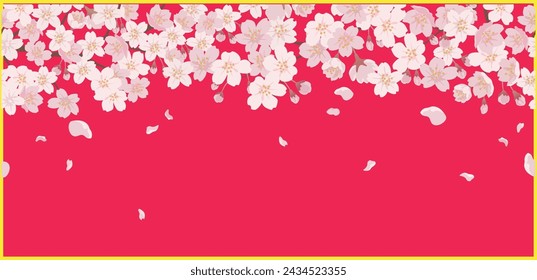 Seamless Floral Background With Cherry Blossoms In Full Bloom On A Pink Background Horizontally Repeatable