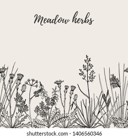 Seamless floral background with hand drawn wild flowers, herbs and grasses. Vintage botanical vector illustration