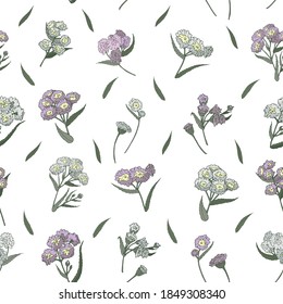 Seamless floral background. Pattern from twigs of gypsophila on a white background.