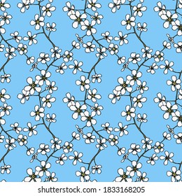 Seamless floral background.Pattern with flowers and buds.White flowers on a blue background.For decoration of fabric,paper,packaging, Wallpaper.