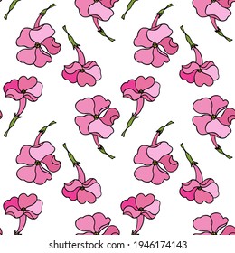 Seamless floral background.Pattern with flowers. Drawing of flowers on a white background.For decoration of fabric, paper, packaging, wallpaper. Pink phlox.