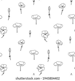 Seamless floral background.Pattern with flowers. Outline black drawing of flowers on a white background.For decoration of fabric, paper, packaging, wallpaper. Black and white floral pattern. Phlox.