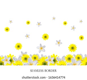 Seamless floral border with colorful wildflowers. Vector horizontal drawing on a white background. Illustration by hand.