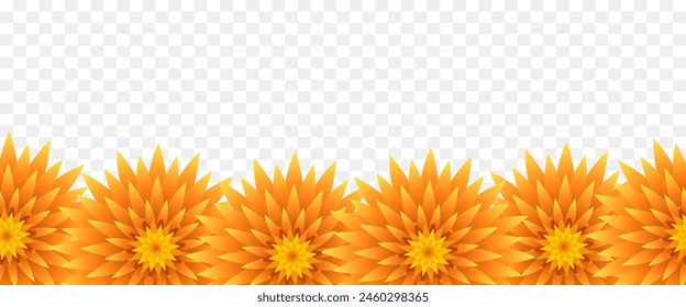 Seamless floral border. Frame of yellow flowers. Vector illustration isolated on transparent background.