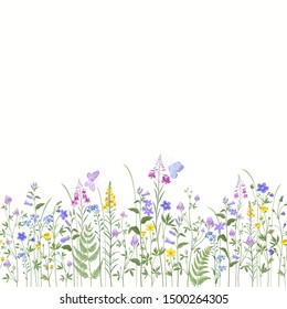 seamless floral border. summer flowers.