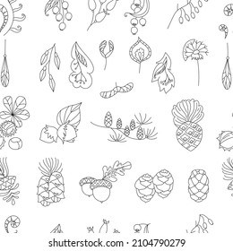 Seamless floral contour pattern with forest seeds and cones. Endless monochrome botanical  texture for your design.