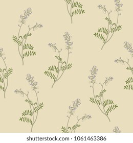 Seamless floral pattern with Astragalus plant. (Phaca Australis). Vintage style. 