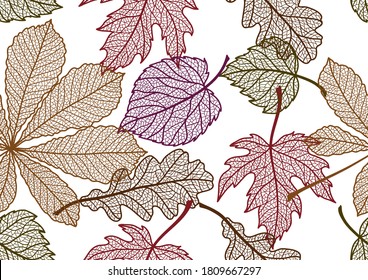 Seamless floral pattern with autumn foliage. Background of falling leaves.