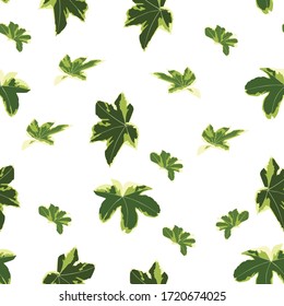 Seamless floral pattern. Background with ivy leaves. Plants texture for design. White background.