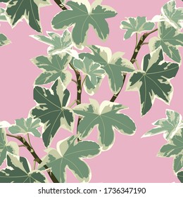 Nahtlose Blumenmuster. Hintergrund mit Efeu-Ästen. Pflanzliche Textur für Design isoliert auf rosa Hintergrund.