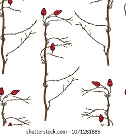 Seamless floral pattern, Barberry hand drawn branch vector sketch isolated on white background, line art berry, Natural spicy herbs, cooking ingredient for design package tea, cosmetic, wallpaper