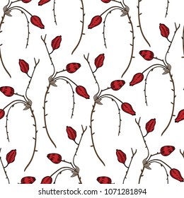 Seamless floral pattern, Barberry hand drawn branch vector sketch isolated on white background, line art red berry, Natural spicy herbs, cooking ingredient for design package tea, cosmetic, textile