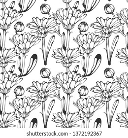 Seamless floral pattern. Black and white calendula floral background. Botany vintage.