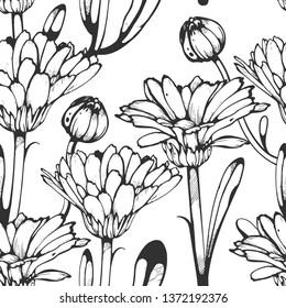 Seamless floral pattern. Black and white calendula floral background. Botany vintage.
