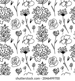 Seamless floral pattern black and white wildflower.Vector botanical with monochrome flowers line print in doodle style.Designs for textiles,fabric,wrapping paper,packaging,social media,web.