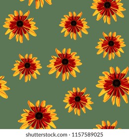 Seamless floral pattern with Black-Eyed Susan flowers. Gloriosa Daisy blossom. Dwarf Marmalade. Rudbeckia hirta. Cartoon style.
