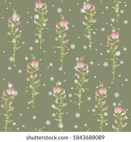 Seamless floral pattern with blooming branches of Ononis Hircina flower and snowflakes.
