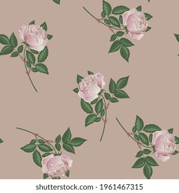 Seamless floral pattern with blooming branches of pink rose flower. 