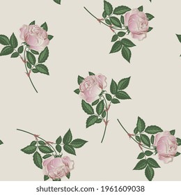Seamless floral pattern with blooming branches of pink rose flower. On white background.