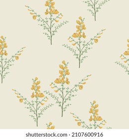 Seamless floral pattern with blooming branches of Scotch Broom plant. Common broom. Cytisus scoparius. Sarothamnus scoparius. Green leaves and yellow flowers on white background.