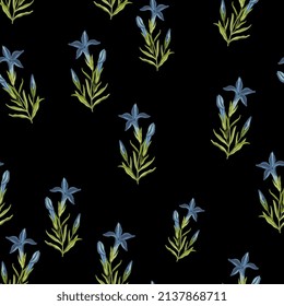 Seamless floral pattern with blooming branches of Gentiana ciliata. Fringed gentian. Gentianopsis crinita. Greater fringed gentian. Blue gentian. On black background.