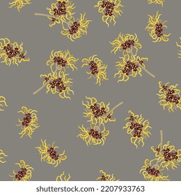 Seamless floral pattern with blooming branches of Witch Hazel plant. Yellow flowers of Hamamelis on gray background.