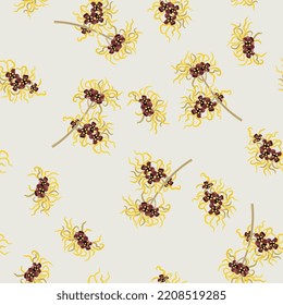 Seamless floral pattern with blooming branches of Witch Hazel plant. Yellow flowers of Hamamelis on white background.