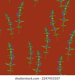 Seamless floral pattern with blooming branches of hyssop flower. Hyssópus officinális. On red background.