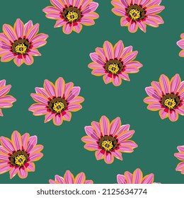 Nahtlose Blumenmuster mit blühenden Köpfen der Gazanablume. African Daisy. rosafarbene Blüte auf grünem Hintergrund.