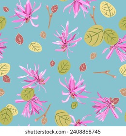 Seamless floral pattern with blooming of Loropetalum Chinense plant. Chinese fringe flower or strap flower. Pink blossom and green leaves on light blue background.