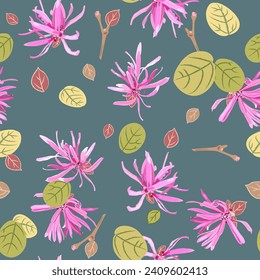 Seamless floral pattern with blooming of Loropetalum Chinense plant. Chinese fringe flower or strap flower. Pink blossom and green leaves on gray blue background.