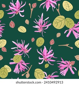 Seamless floral pattern with blooming of Loropetalum Chinense plant. Chinese fringe flower or strap flower. Pink blossom and green leaves on green  background.