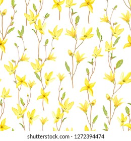 Seamless Floral Pattern With Blossoming Yellow Flowers And Green Leaves Branches Forsythia. Vector Spring Illustration On White Background In Watercolor Style. 