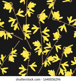 Seamless floral pattern with blossoming yellow flowers and green leaves branches Forsythia. 