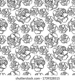 Seamless floral pattern. Botany doodle seamless pattern illustration. Spring field flower endless background. Rose outline stock vector illustration for scrapbooking, invitations, cards etc.