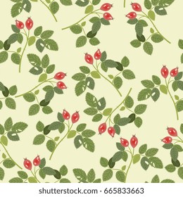 Seamless floral pattern with the boughs of wild roses on a beige background.