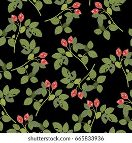 Seamless floral pattern with the boughs of wild roses on a black background.